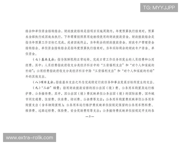 三公经费是哪三公的预算审批流程及其在财务审计中的具体应用案例介绍